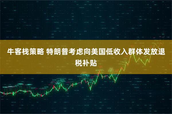 牛客栈策略 特朗普考虑向美国低收入群体发放退税补贴